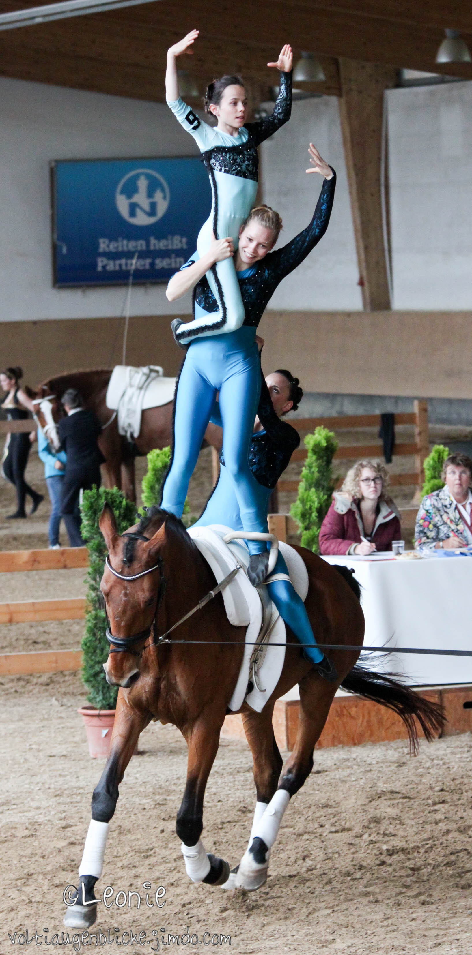 Pferd International 2019 Voltigieren